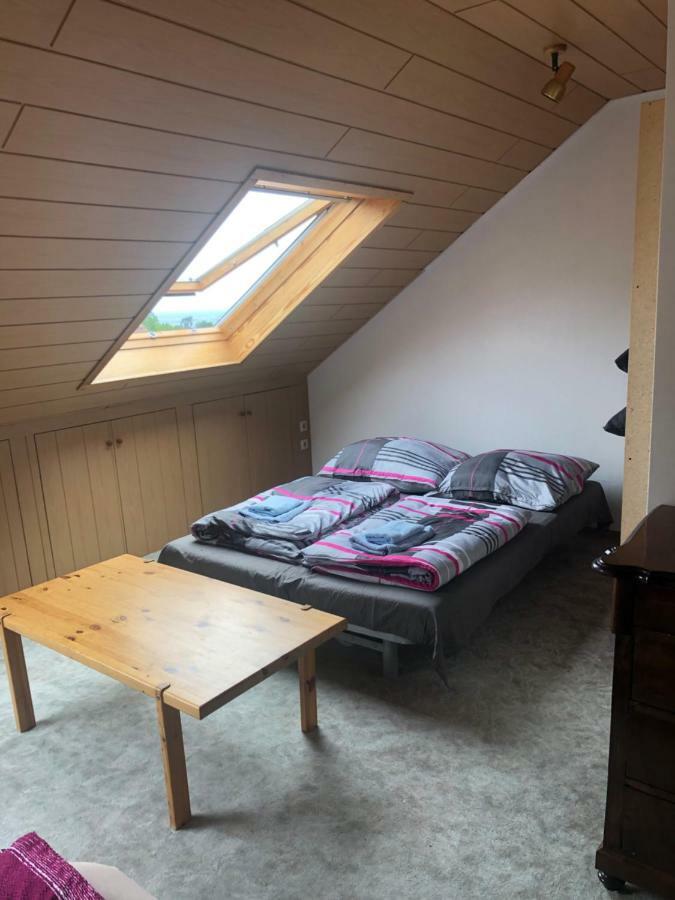 Apartament Dachgeschoss In Einem Reihenhaus Heidelberg Zewnętrze zdjęcie